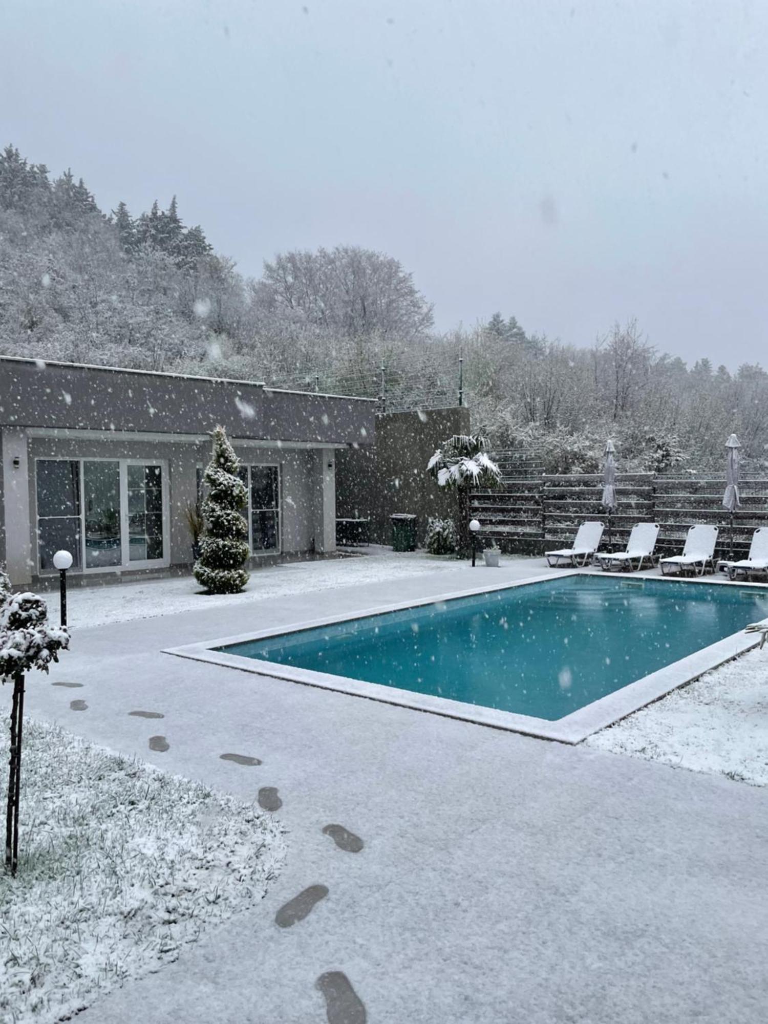 Villa Dimo Topal Ochryda Zewnętrze zdjęcie